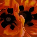 Georgia O'Keefe - Oriental Poppies