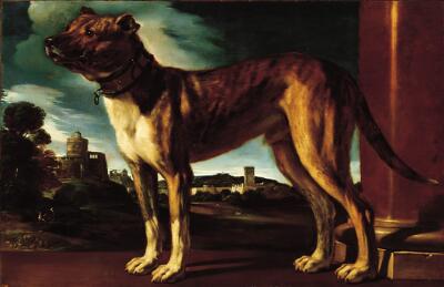 Aldrovandi Dog, Guercino. Image c/o The Norton Simon Museum.