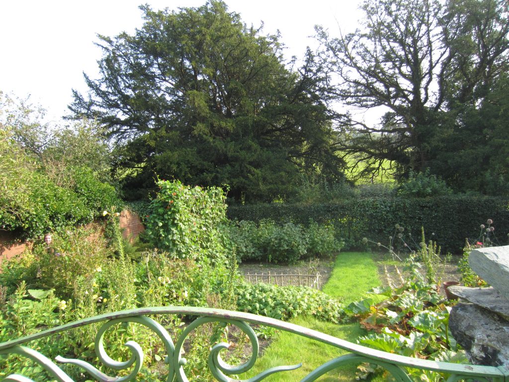 Part of the garden at Hill Top. Image c/o author.