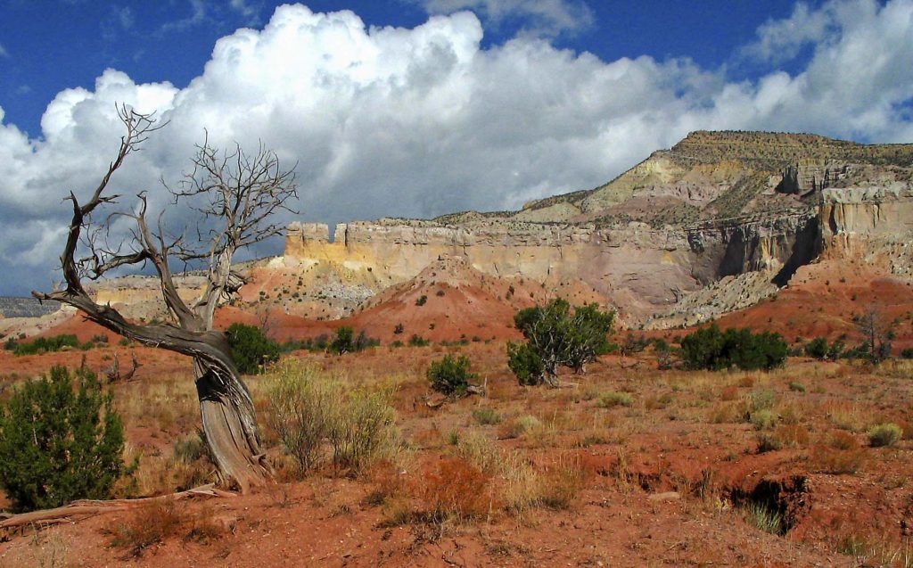 The landscape near Ghost Ranch served as an inspiration for O'Keeffe. Image c/o Ghostranch.org, image © Claudia Tammen.