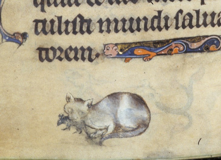 https://www.bl.uk/catalogues/illuminatedmanuscripts/record.asp?MSID=8849&CollID=8&NStart=928