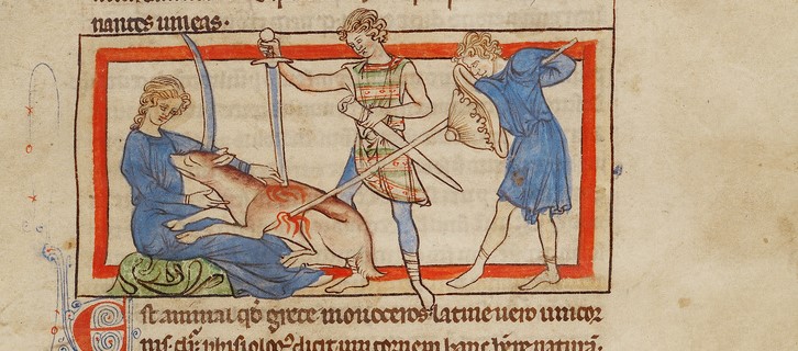 Hunters slay a unicorn in an illumination from the Northumberland Bestiary